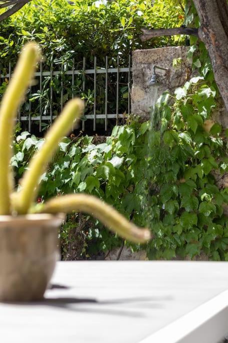 韦内雷港Il Giardino Tra Cielo E Mare公寓 外观 照片